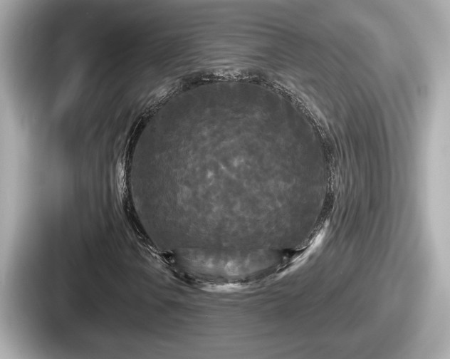 X0000087631106200705101022