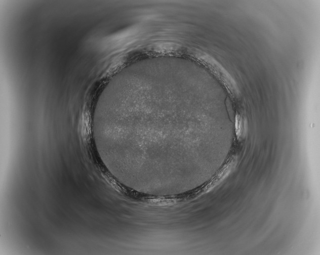 X0000087631107200705101022