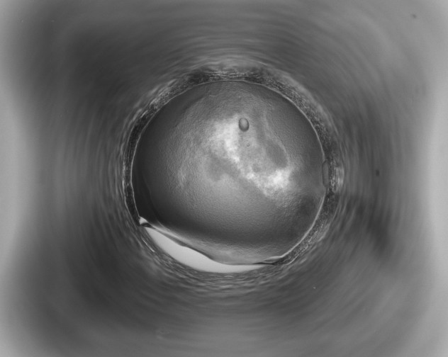 X0000087631108200705101022