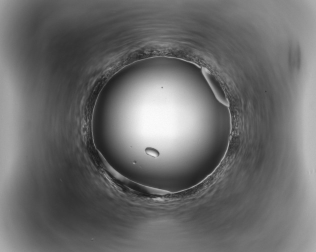 X0000087631109200705101022