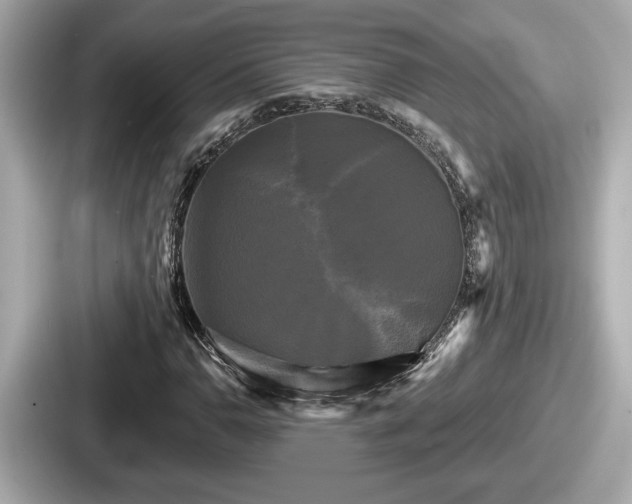 X0000087631110200705101022