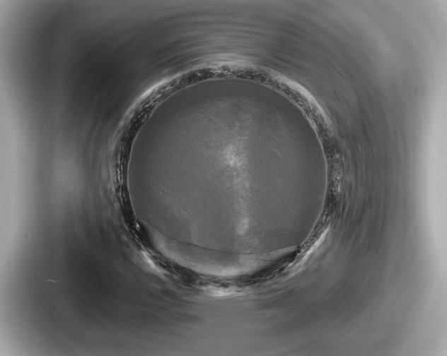 X0000087631112200705101022