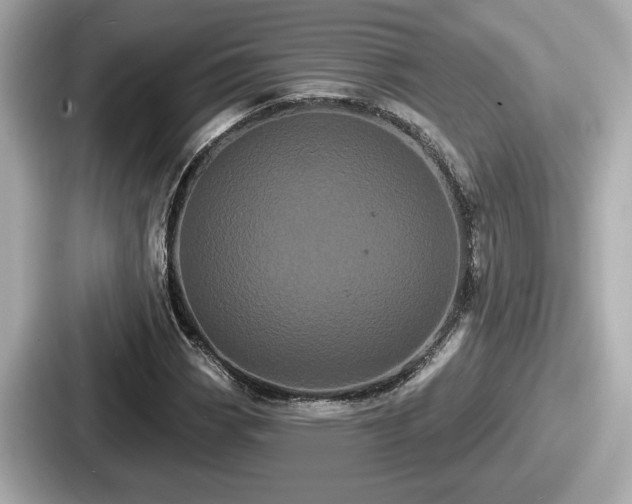 X0000087631113200705101022