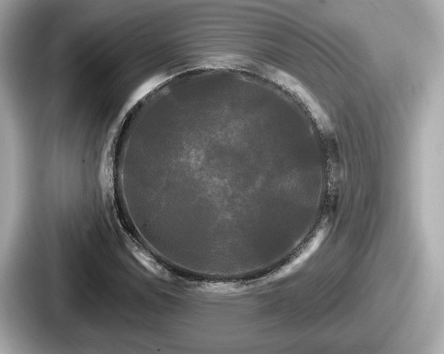 X0000087631114200705101022