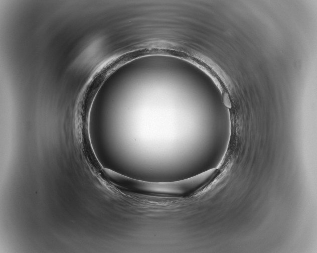 X0000087631115200705101022