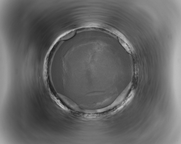 X0000087631116200705101022