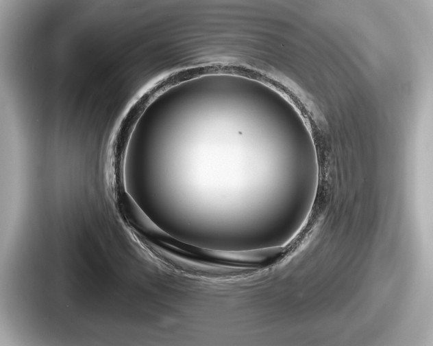 X0000087631118200705101022