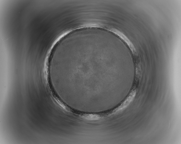 X0000087631119200705101022