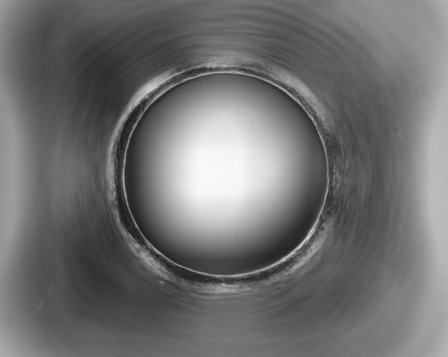 X0000087631122200705101022