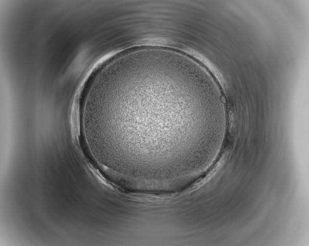 X0000087631123200705101022