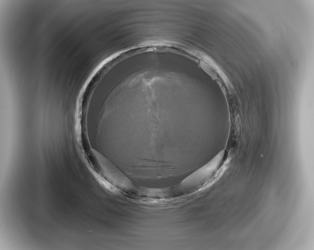 X0000087631124200705101022