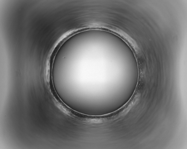 X0000087631126200705101022