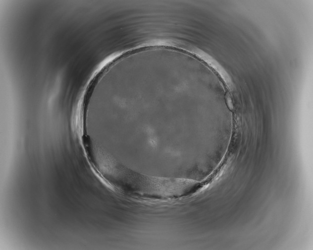 X0000087631127200705101022