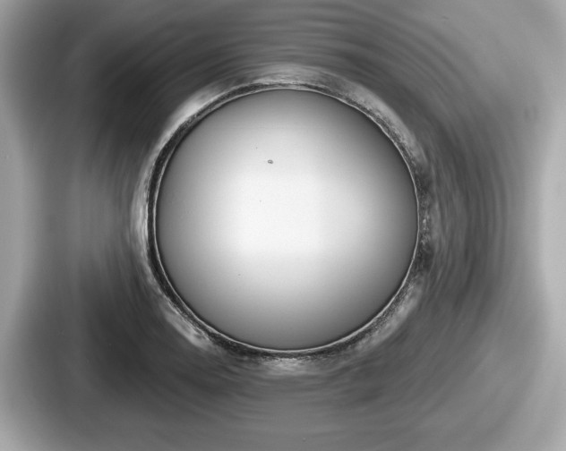 X0000087631130200705101022