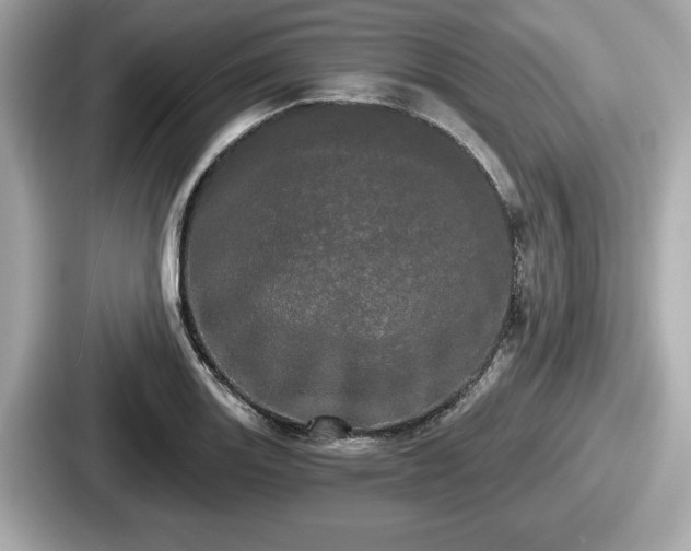 X0000087631131200705101022