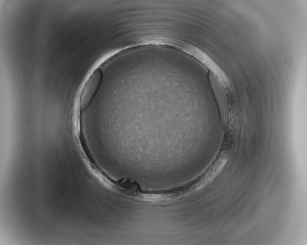 X0000087631132200705101022