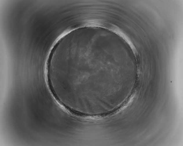 X0000087631133200705101022