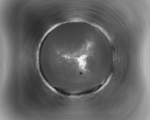 X0000087631134200705101022