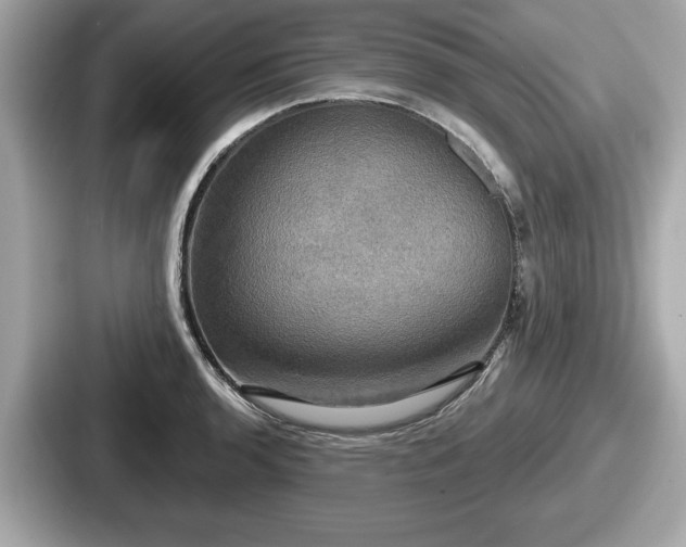 X0000087631136200705101022