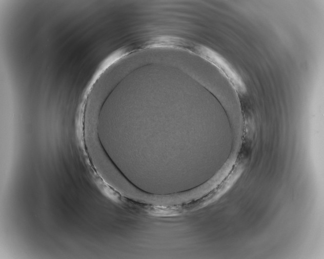 X0000087631138200705101022