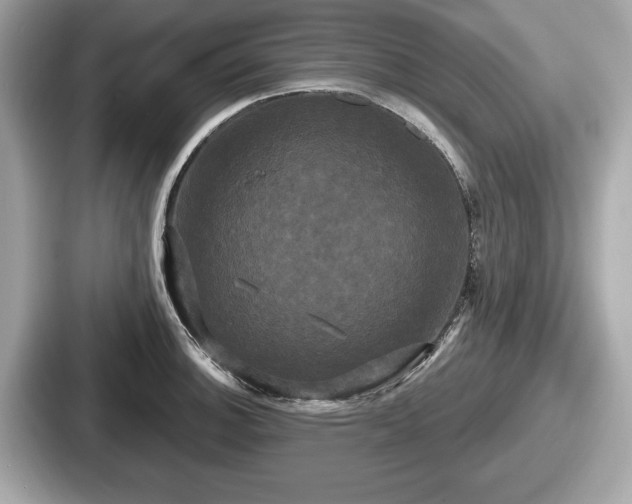 X0000087631140200705101022