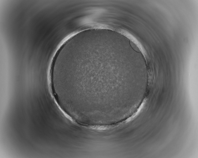 X0000087631141200705101022