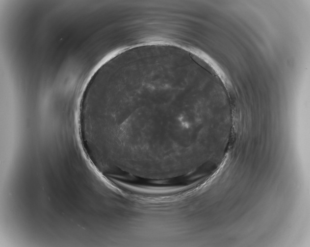 X0000087631142200705101022