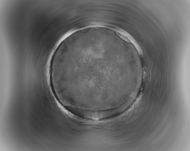 X0000087631143200705101022