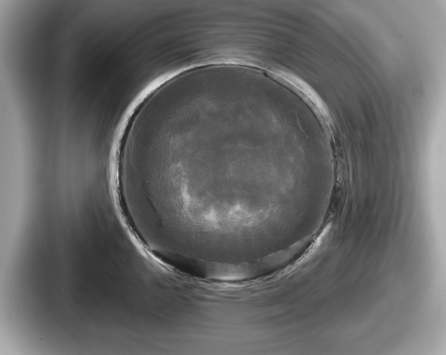 X0000087631144200705101022