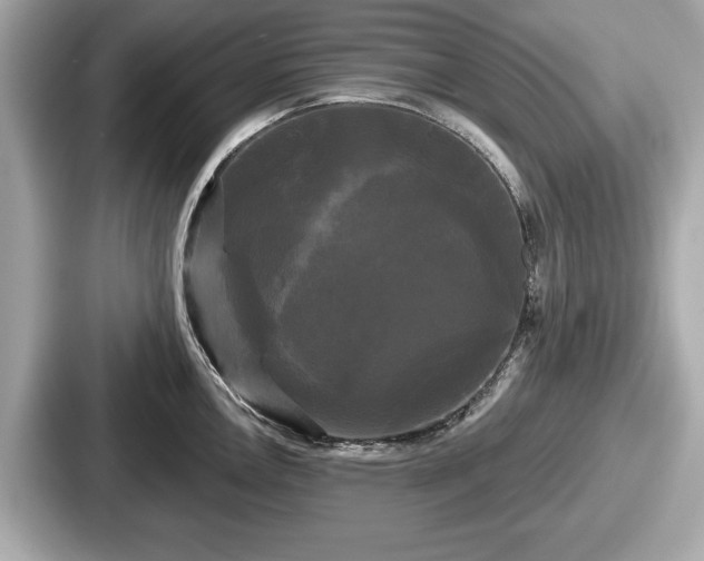 X0000087631146200705101022