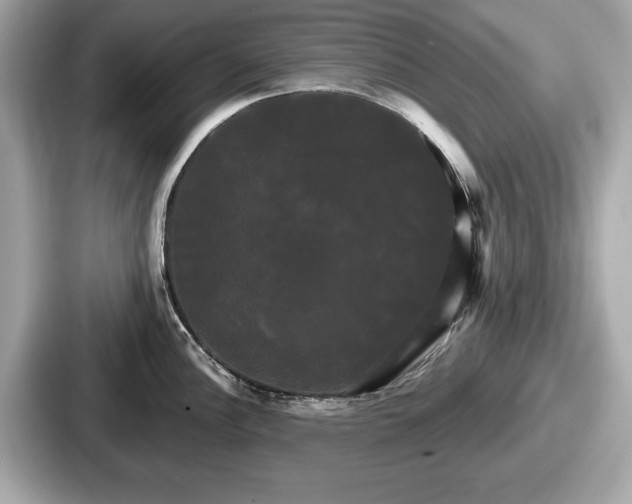 X0000087631148200705101022