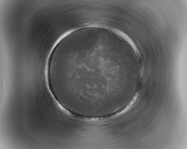 X0000087631149200705101022