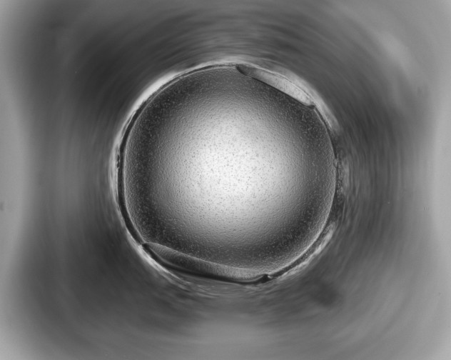 X0000087631151200705101022