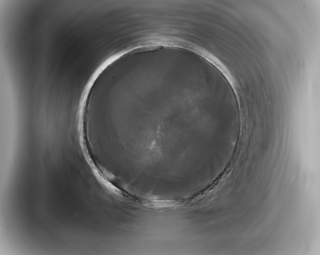 X0000087631152200705101022