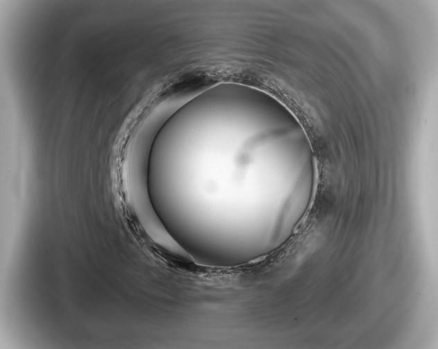 X0000087631153200705101022