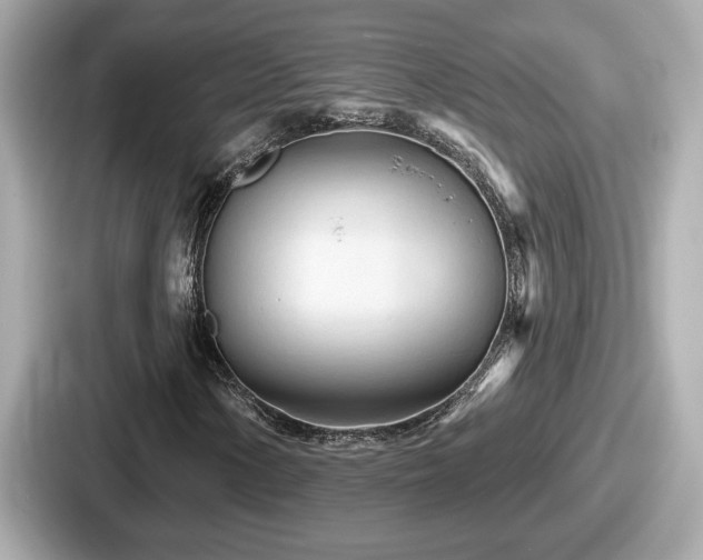 X0000087631154200705101022