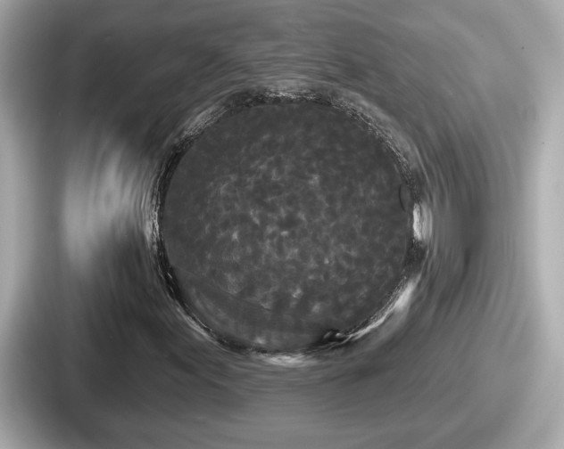 X0000087631155200705101022