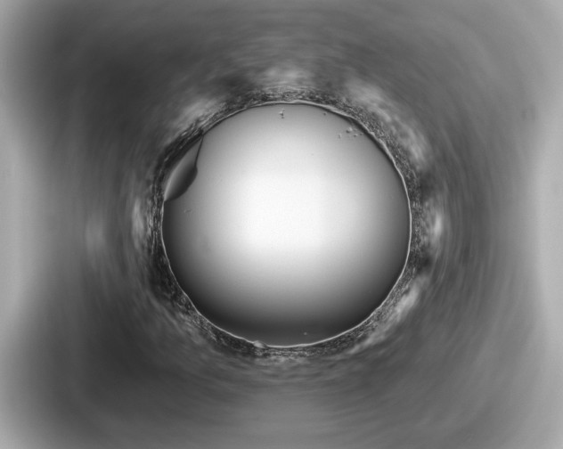 X0000087631157200705101022