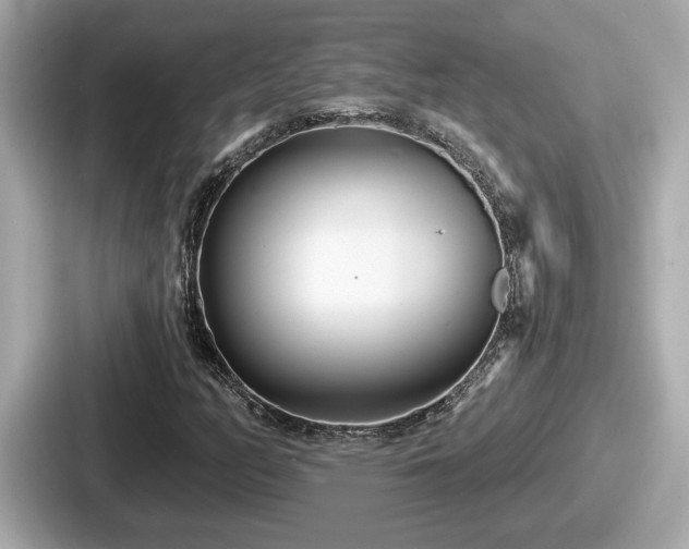 X0000087631158200705101022