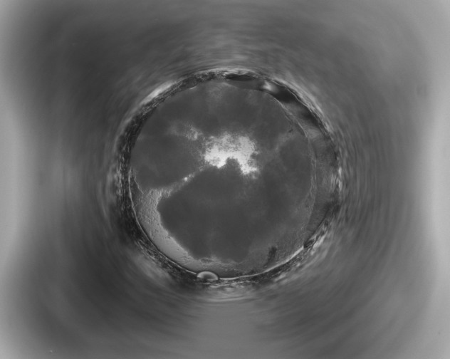 X0000087631159200705101022