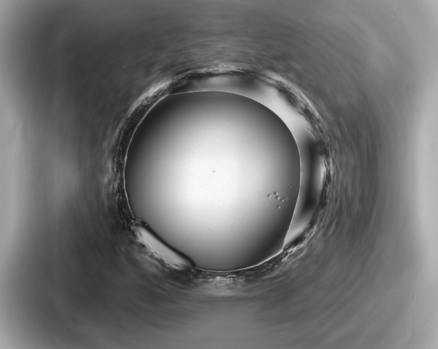 X0000087631160200705101022