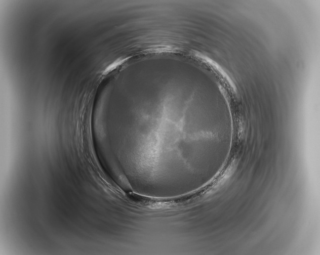 X0000087631161200705101022