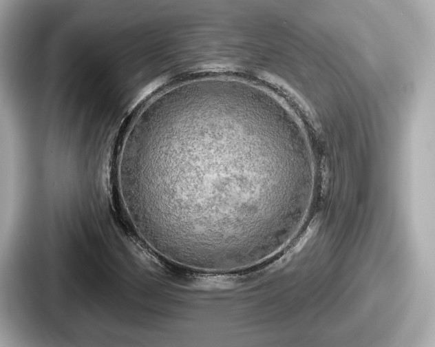 X0000087631162200705101022