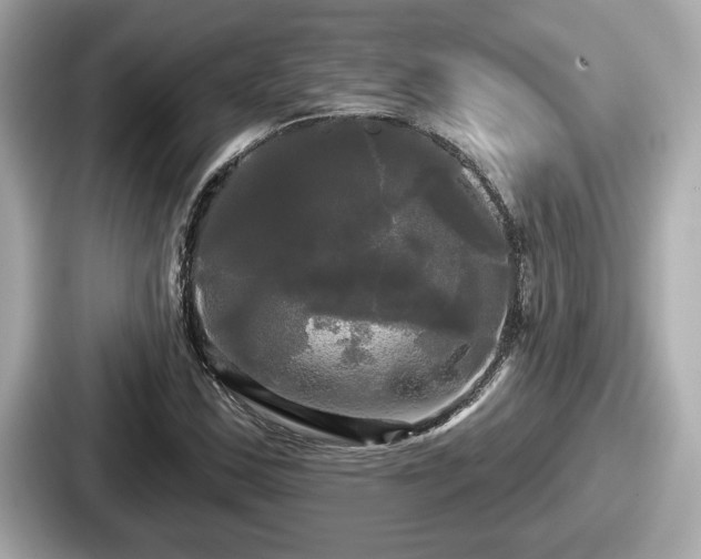 X0000087631163200705101022