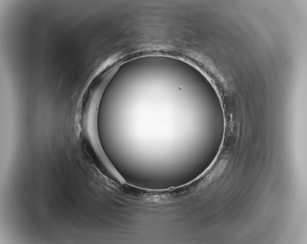 X0000087631165200705101022