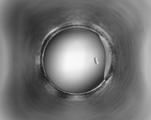 X0000087631166200705101022