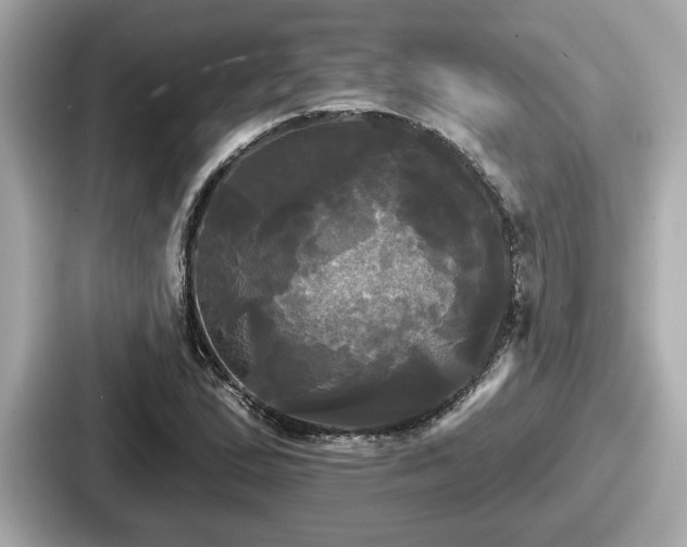 X0000087631167200705101022