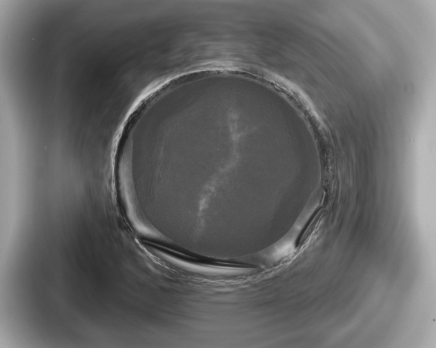 X0000087631168200705101022