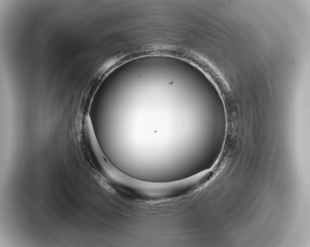 X0000087631169200705101022