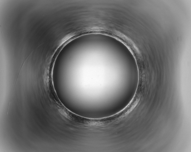 X0000087631170200705101022